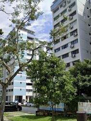 Blk 285 Tampines Street 22 (Tampines), HDB 4 Rooms #540495661